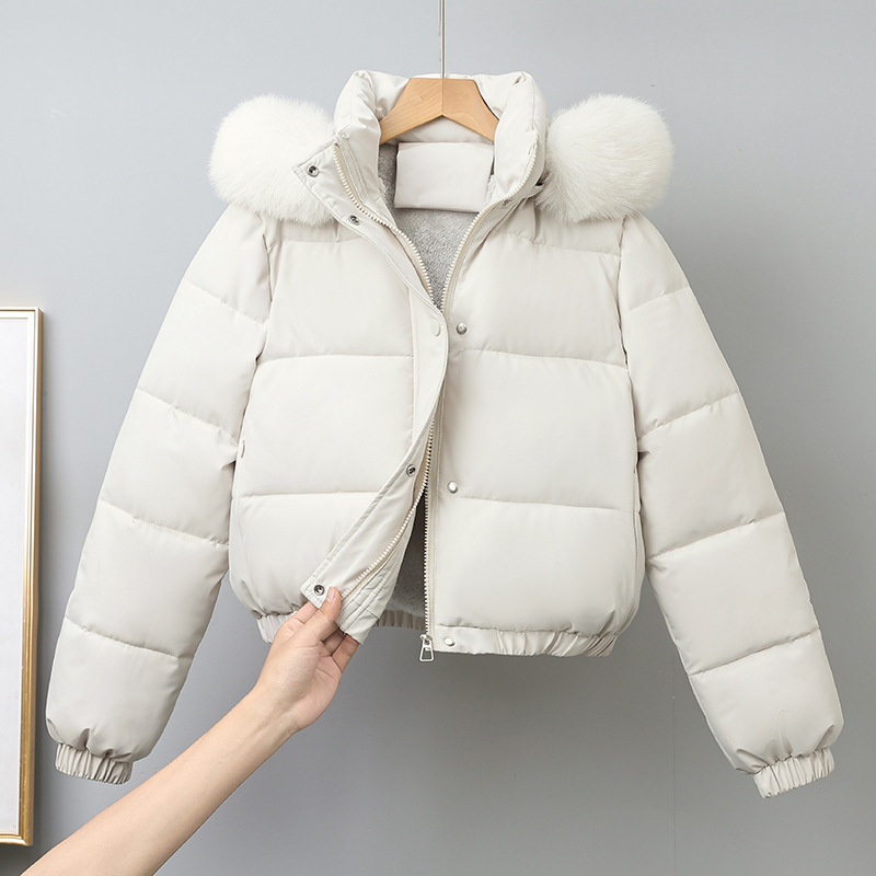 Winter Korte Parka's Dames Kat - Wool Coat Peacoat recensie en prijs